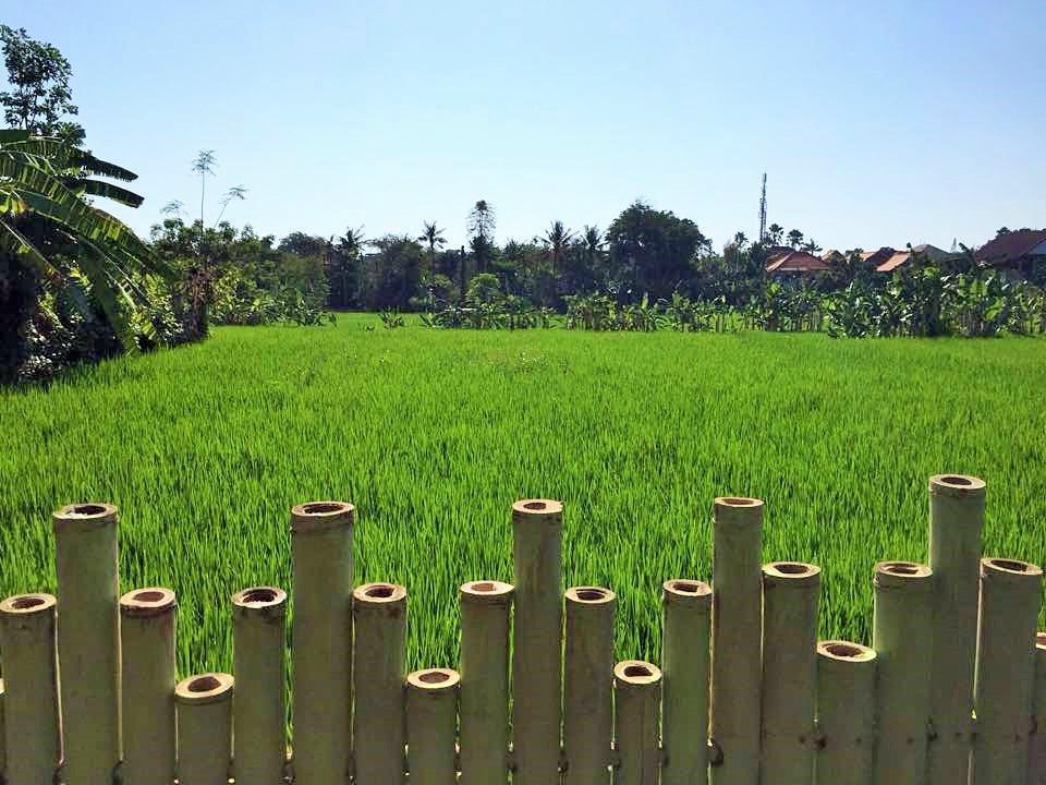Bali Green Hostel Семиняк Екстериор снимка